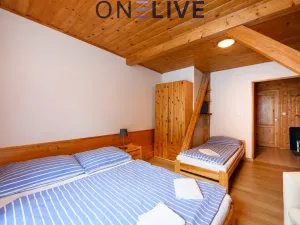 Prodej apartmánu, Železná Ruda - Hojsova Stráž, 500 m2