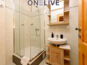 Prodej apartmánu, Železná Ruda - Hojsova Stráž, 500 m2