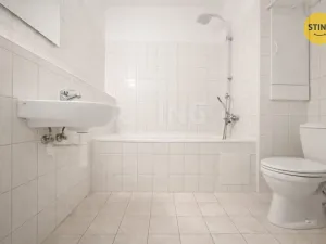 Pronájem bytu 1+kk, Ostrava - Bělský Les, 38 m2