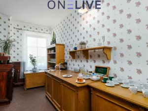 Prodej apartmánu, Přimda, Pod Hradem, 450 m2