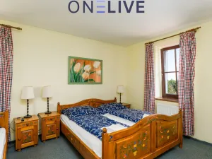 Prodej apartmánu, Přimda, Pod Hradem, 450 m2