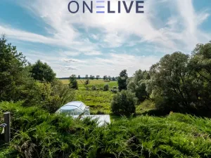 Prodej rodinného domu, Rozvadov - Svatá Kateřina, 650 m2