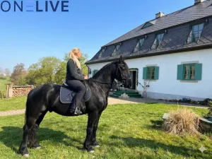 Prodej ubytování, Rozvadov - Svatá Kateřina, 650 m2