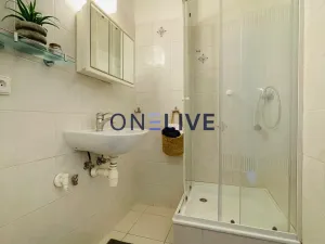 Prodej bytu 2+1, Karlovy Vary, K. Čapka, 55 m2