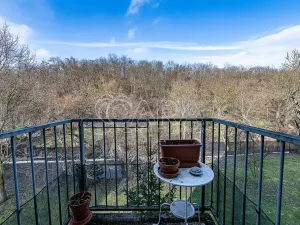 Prodej bytu 1+kk, Praha, U Smetanky, 39 m2