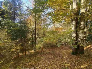 Prodej pole, Železný Brod, 12622 m2