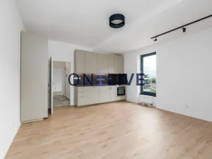 Pronájem bytu 3+kk, Plzeň, Železná, 59 m2