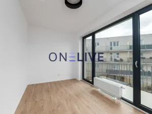 Pronájem bytu 3+kk, Plzeň, Železná, 59 m2