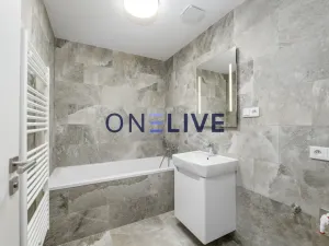 Pronájem bytu 3+kk, Plzeň, Železná, 59 m2