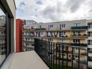 Pronájem bytu 3+kk, Plzeň, Železná, 59 m2