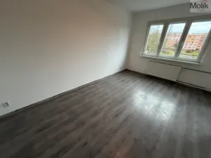 Prodej bytu 2+1, Most, Hutnická, 54 m2