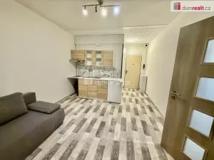 Prodej bytu 1+1, Ústí nad Labem - Střekov, Jeseninova, 36 m2