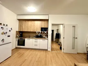 Pronájem bytu 1+kk, Brno - Ponava, Střední, 55 m2