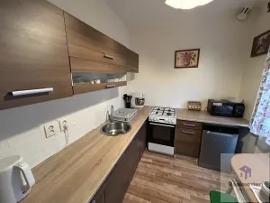 Pronájem bytu 3+1, Ústí nad Labem - Ústí nad Labem-centrum, Důlce, 70 m2