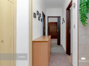 Prodej bytu 3+1, Plzeň - Východní Předměstí, U Prazdroje, 68 m2