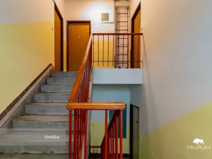 Prodej bytu 3+1, Plzeň - Východní Předměstí, U Prazdroje, 68 m2