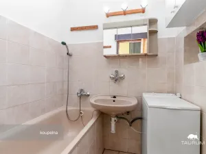 Prodej bytu 3+1, Plzeň - Východní Předměstí, U Prazdroje, 68 m2