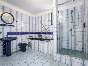 Prodej rodinného domu, Nová Ves, 300 m2