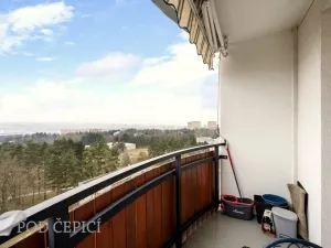 Prodej bytu 3+1, Brno - Lesná, Ježkova, 79 m2