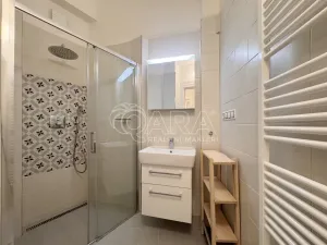 Pronájem bytu 2+1, Praha - Vinohrady, Kolínská, 90 m2