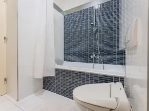 Pronájem bytu 3+1, Praha - Staré Město, Bílkova, 92 m2