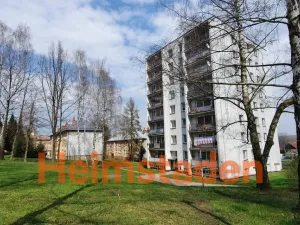 Pronájem bytu 3+1, Albrechtice, Hornická, 70 m2