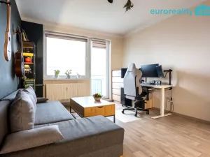 Prodej bytu 2+kk, Strakonice, U Zahrádek, 46 m2