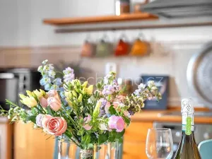 Prodej bytu 4+kk, Praha - Zbraslav, Jaromíra Vejvody, 187 m2