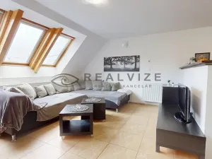 Prodej bytu 3+kk, České Budějovice, Rudolfovská tř., 66 m2