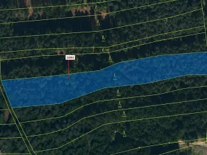 Dražba lesa, Žirovnice, 5755 m2