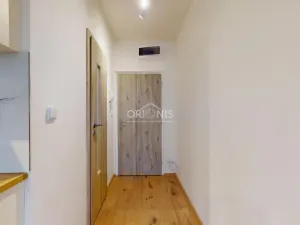 Pronájem bytu 1+1, Chomutov, 17. listopadu, 33 m2