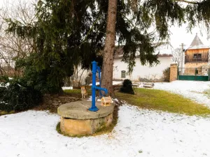 Prodej rodinného domu, Plaňany, Komenského, 111 m2