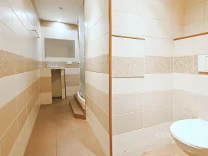 Pronájem bytu 2+kk, Bílina, Bezejmenná, 49 m2