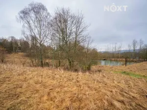 Prodej pozemku pro bydlení, Malá Morava, 1400 m2