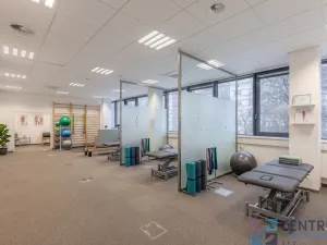 Pronájem kanceláře, Praha - Holešovice, U Pergamenky, 116 m2