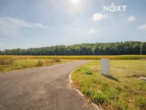 Prodej pozemku pro bydlení, Stavenice, 738 m2