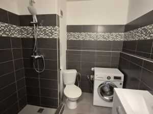 Pronájem bytu 1+1, Opava - Kateřinky, Holasická, 35 m2