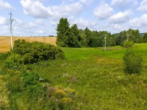 Prodej rybníku, Želetava, 5179 m2