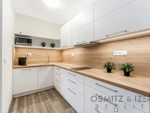 Prodej bytu 2+kk, Říčky v Orlických horách, 59 m2