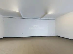Pronájem skladu, Brno - Dolní Heršpice, Vídeňská, 170 m2