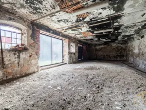 Prodej rodinného domu, Budišov, 678 m2