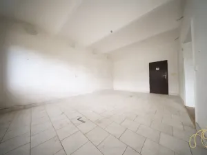 Prodej rodinného domu, Budišov, 678 m2