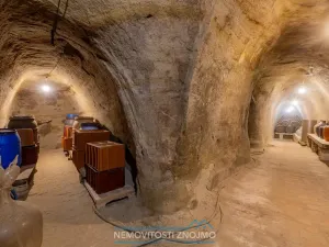 Prodej vinného sklepa, Dobšice, Leska, 25 m2