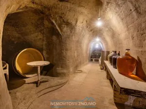 Prodej vinného sklepa, Dobšice, Leska, 25 m2