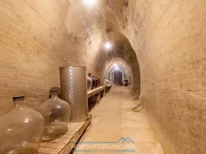 Prodej vinného sklepa, Dobšice, Leska, 25 m2