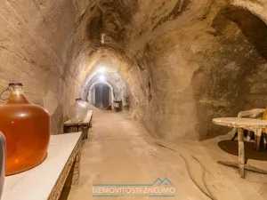 Prodej vinného sklepa, Dobšice, Leska, 25 m2