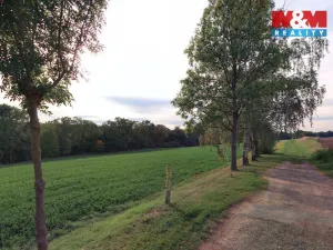 Prodej pole, Bratčice, 19072 m2