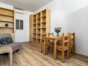 Prodej bytu 2+kk, Praha - Vinohrady, Lužická, 49 m2
