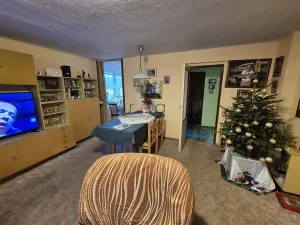 Prodej rodinného domu, Nový Bor, 260 m2