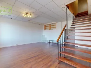 Prodej atypického bytu, Ústí nad Labem - Ústí nad Labem-centrum, Králova výšina, 104 m2